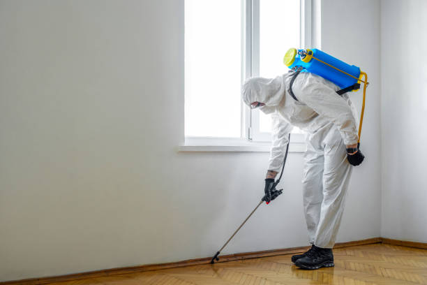 Best Seasonal Pest Control  in Minneola, FL